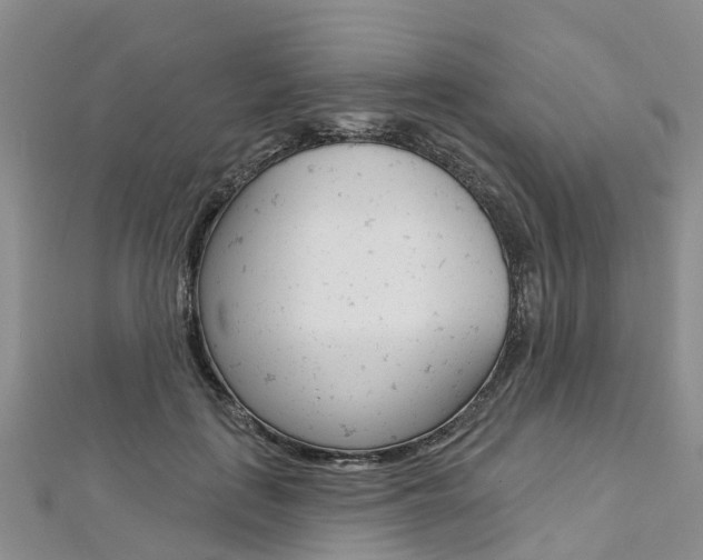 X0000112740651200908201036