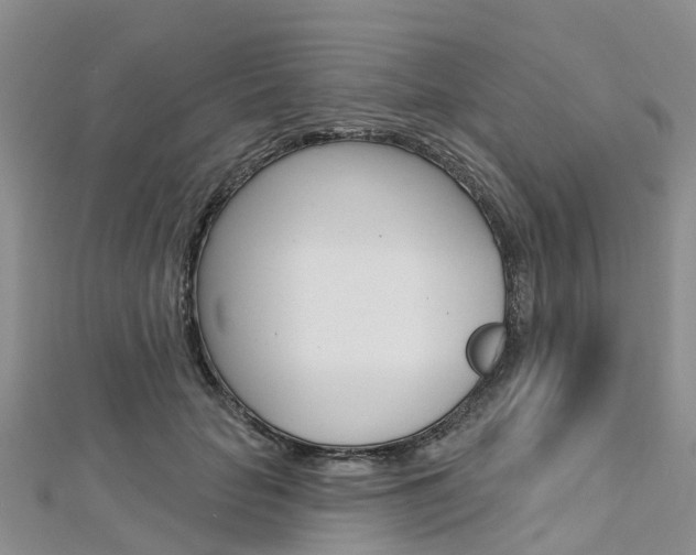 X0000112740653200908201036
