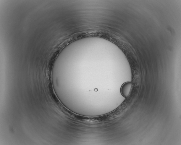 X0000112740654200908201036