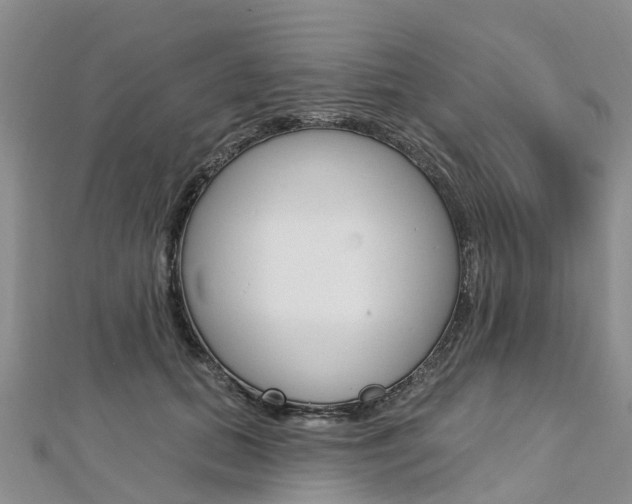 X0000112740655200908201036