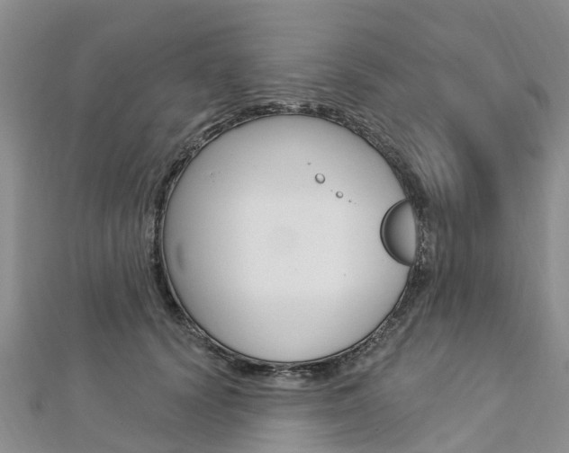 X0000112740656200908201036