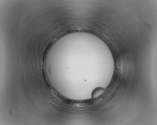 X0000112740657200908201036