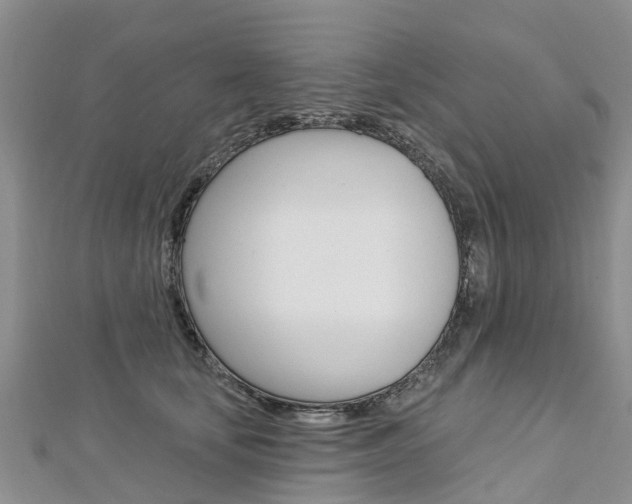 X0000112740659200908201036