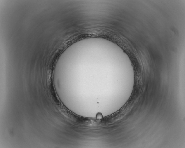X0000112740660200908201036