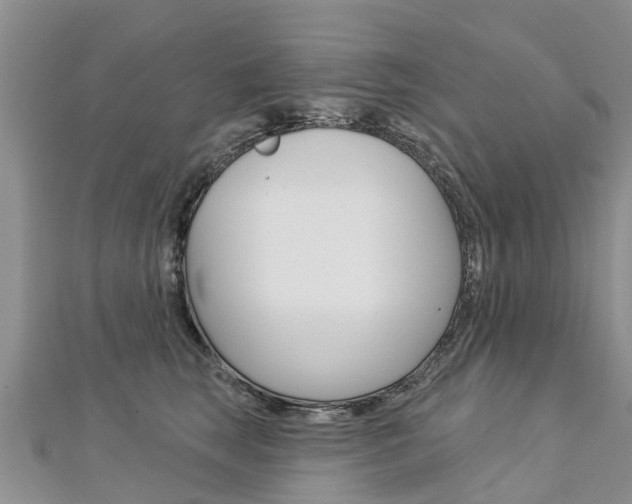 X0000112740663200908201036