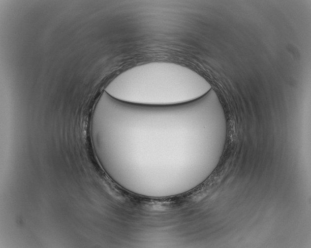 X0000112740664200908201036