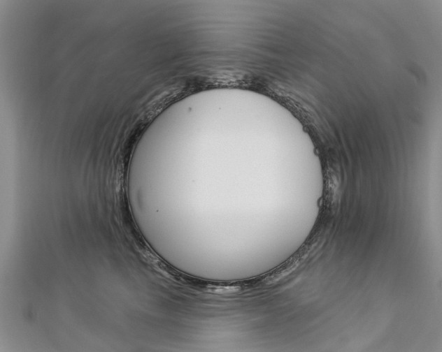 X0000112740665200908201036
