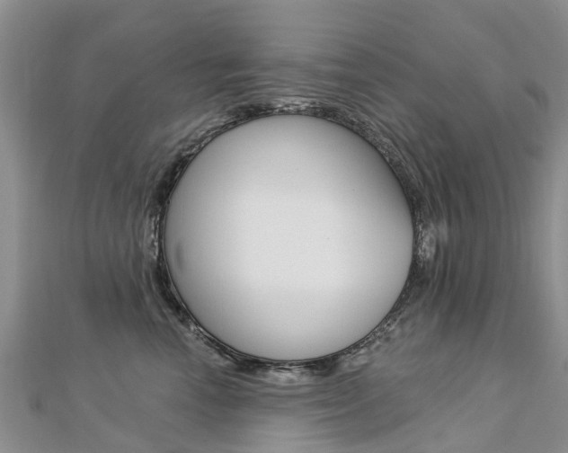 X0000112740666200908201036