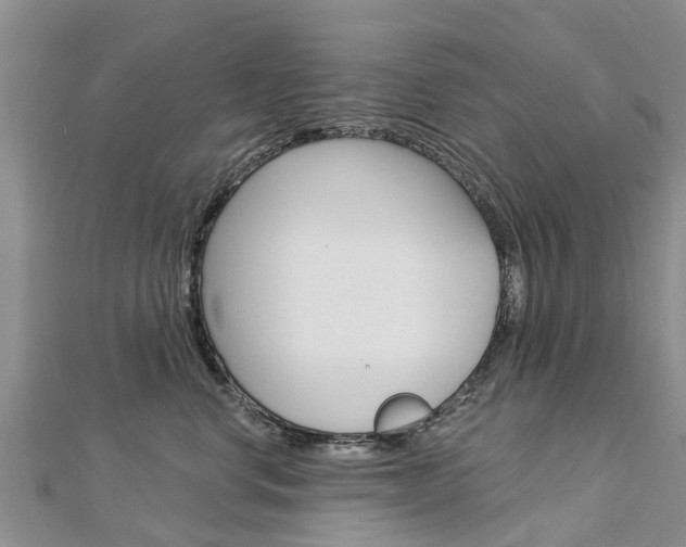 X0000112740668200908201036