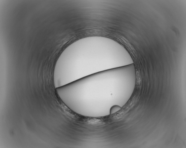 X0000112740669200908201036