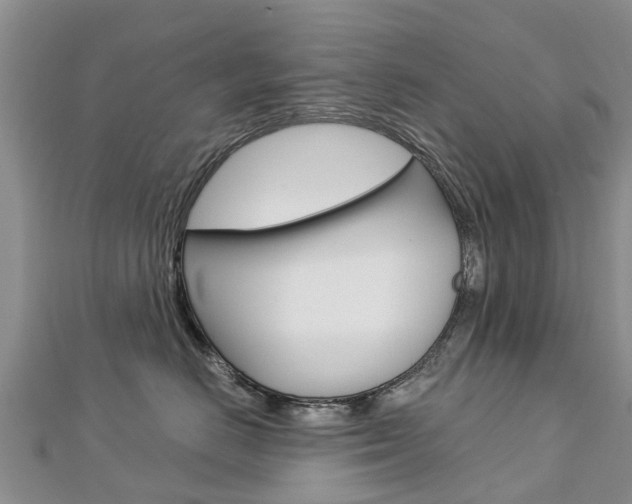 X0000112740670200908201036