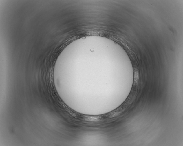 X0000112740671200908201036