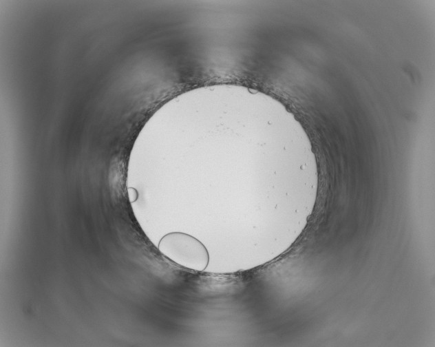 X0000112740672200908201036