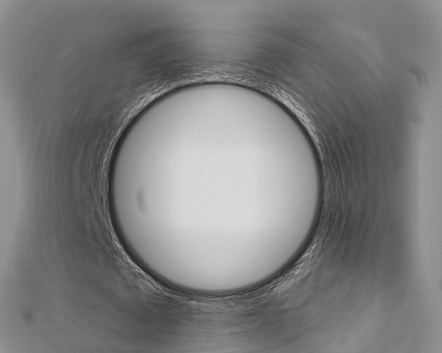 X0000112740673200908201036