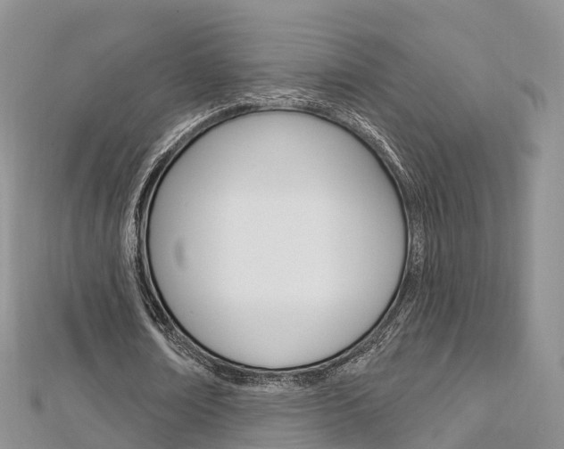 X0000112740674200908201035