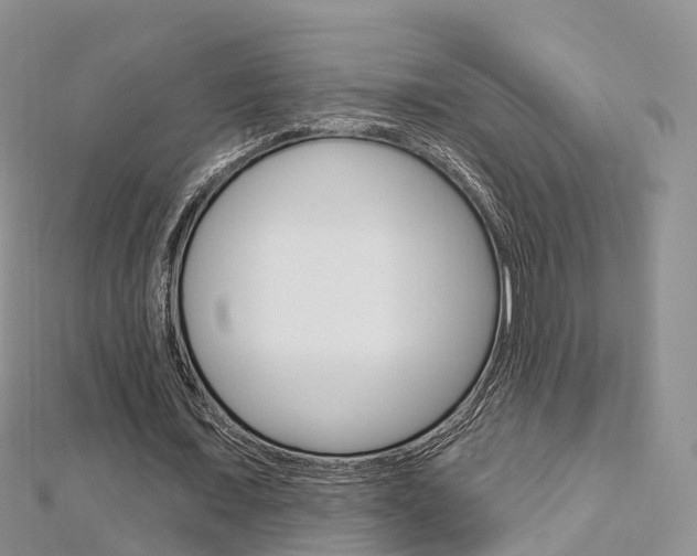 X0000112740675200908201035