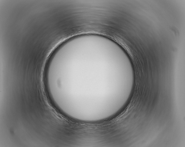 X0000112740676200908201035