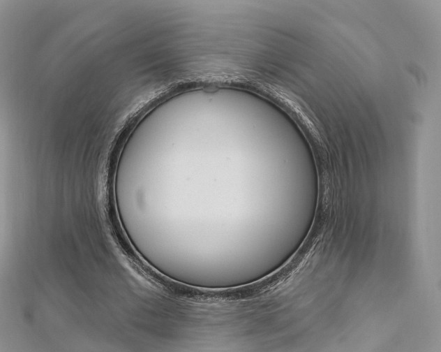 X0000112740677200908201035