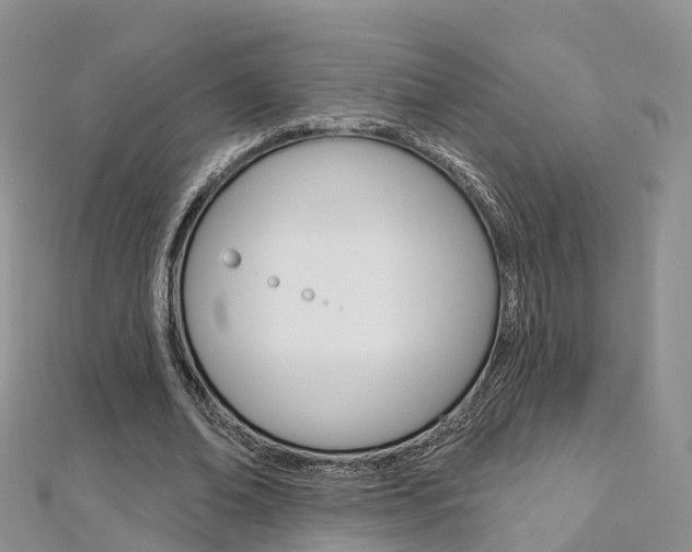 X0000112740678200908201035