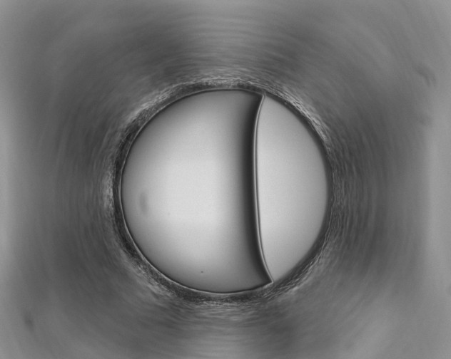 X0000112740681200908201035