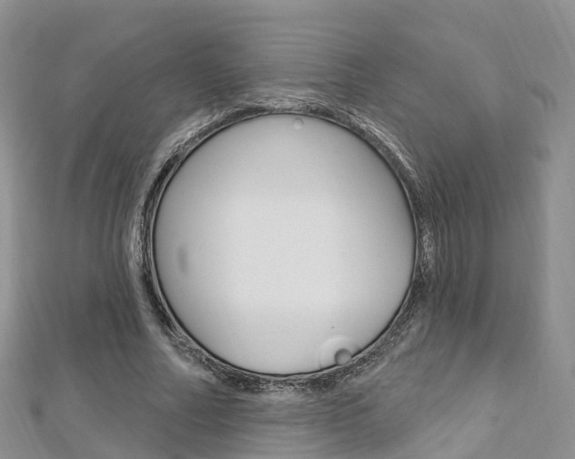 X0000112740682200908201035