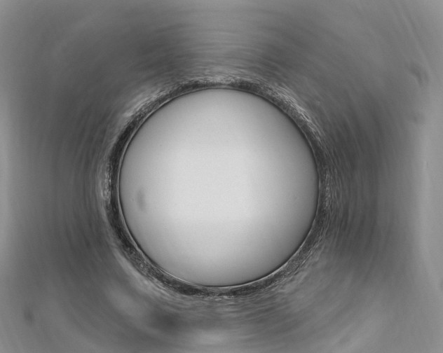 X0000112740683200908201035