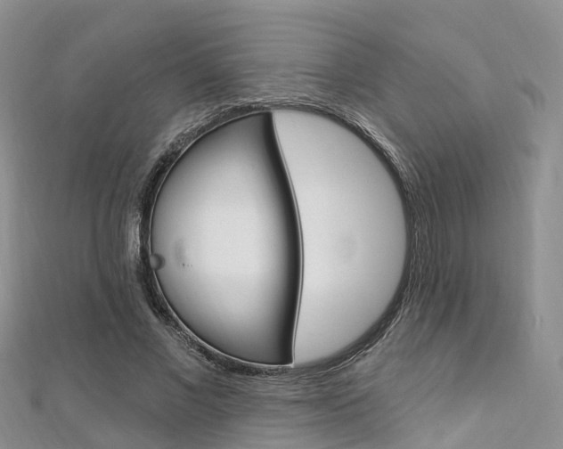 X0000112740685200908201035