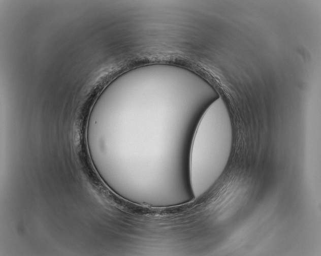 X0000112740687200908201035