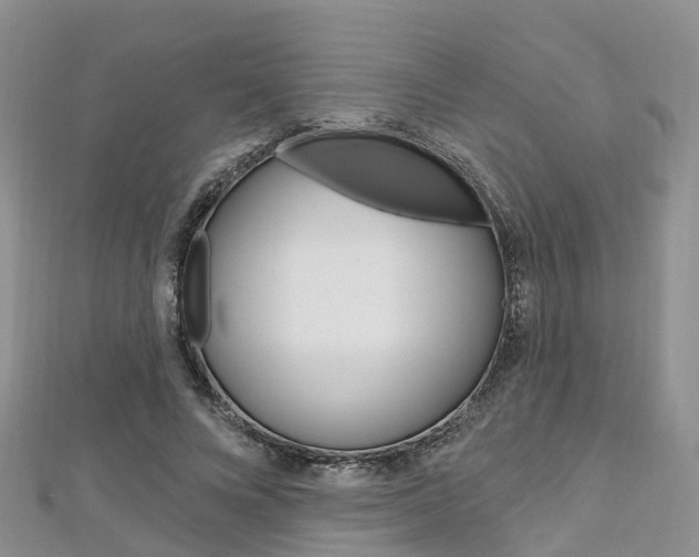 X0000112740688200908201035