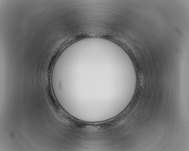 X0000112740690200908201035