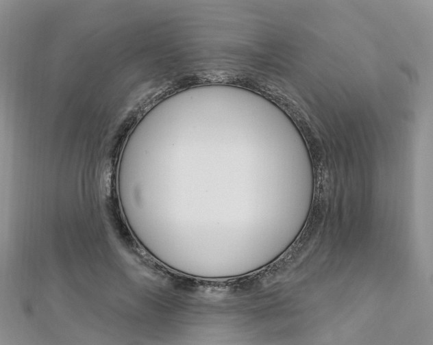 X0000112740694200908201035