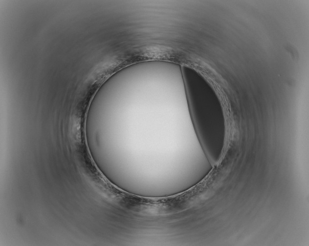 X0000112740696200908201035