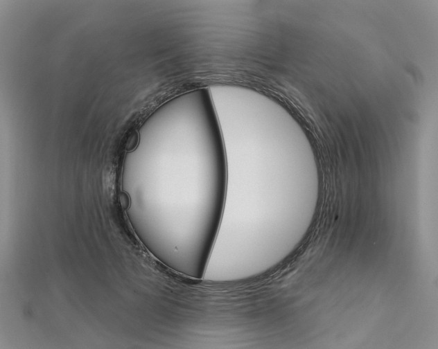 X0000112740697200908201035