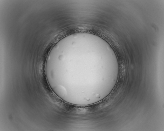 X0000112740698200908201035