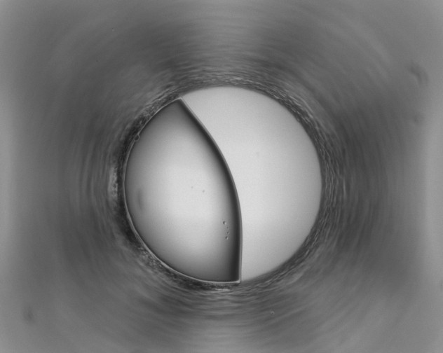 X0000112740700200908201035