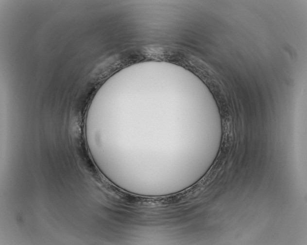 X0000112740702200908201035