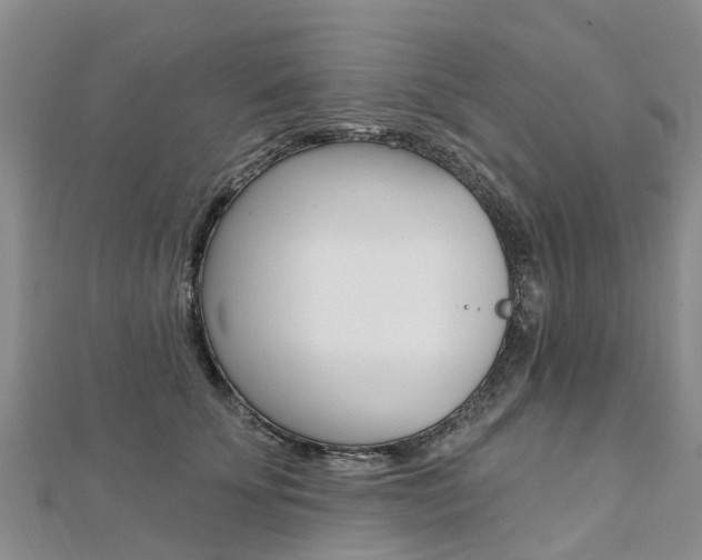 X0000112740707200908201035