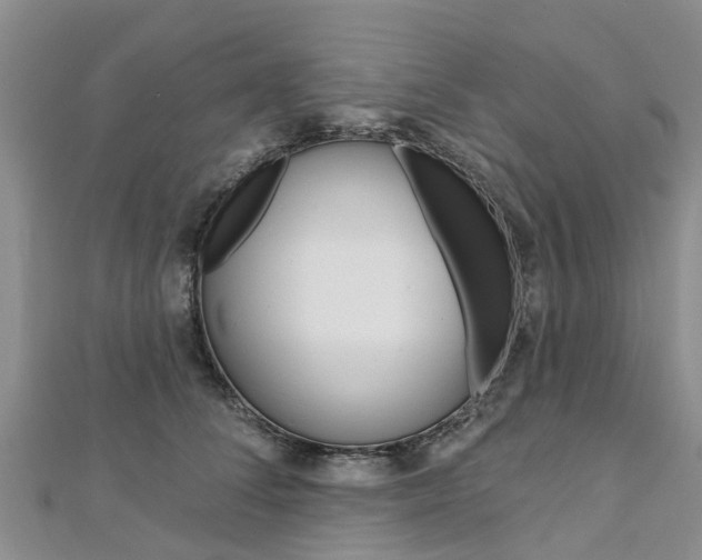 X0000112740708200908201035