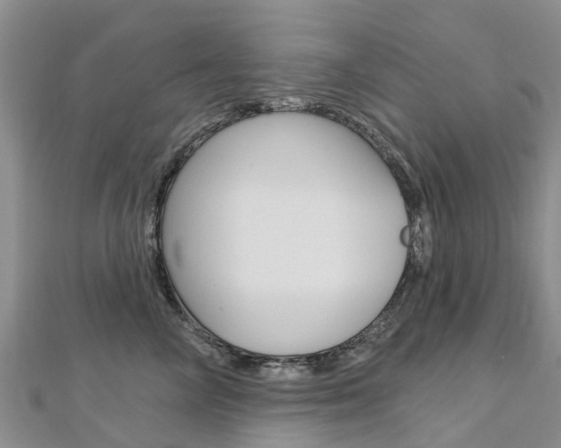 X0000112740714200908201035