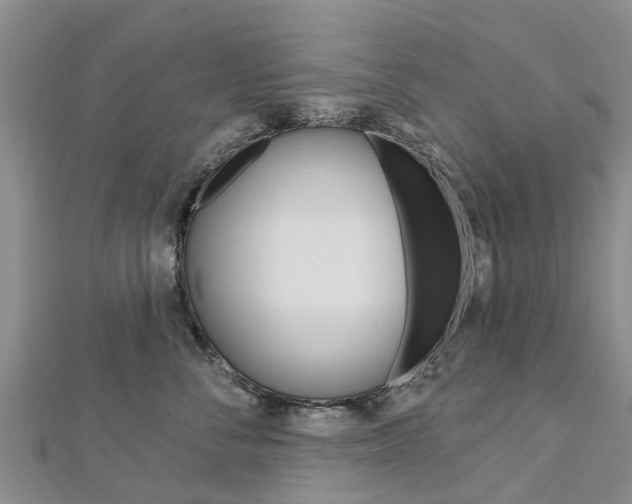 X0000112740716200908201035