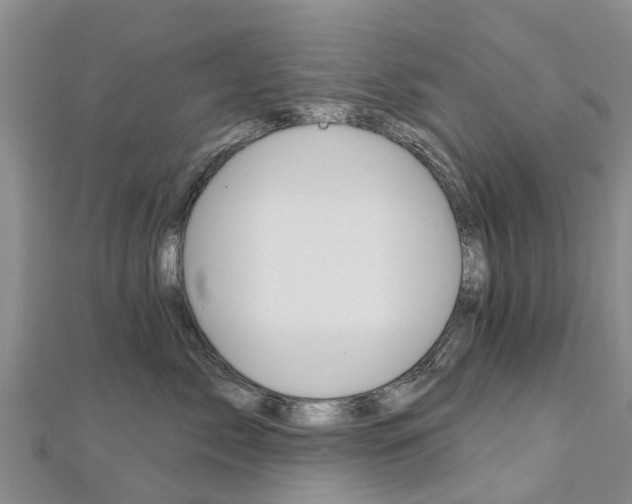 X0000112740717200908201035