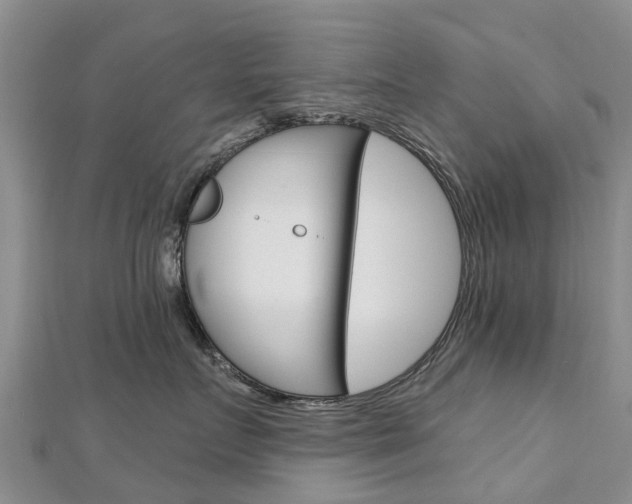 X0000112740719200908201035