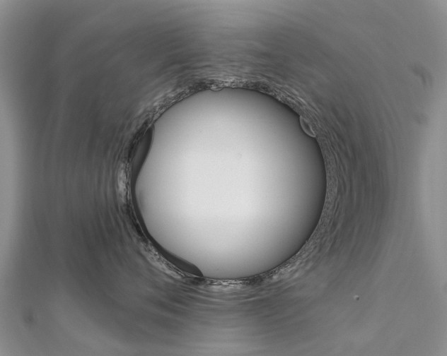 X0000112740720200908201035