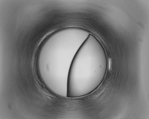 X0000112740723200908201034