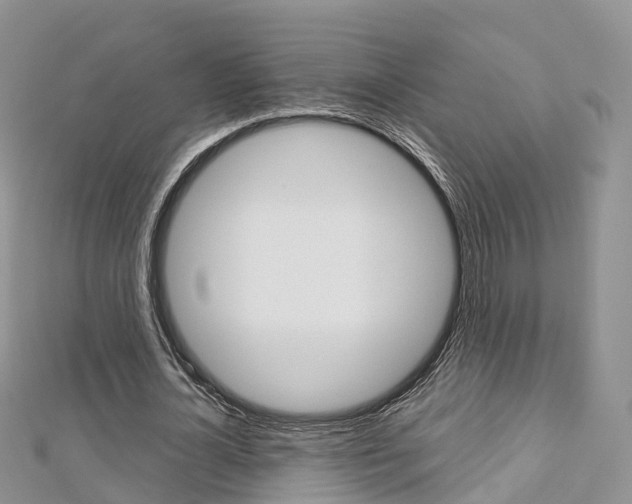 X0000112740724200908201034