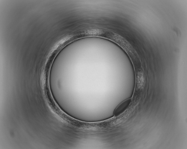 X0000112740726200908201034