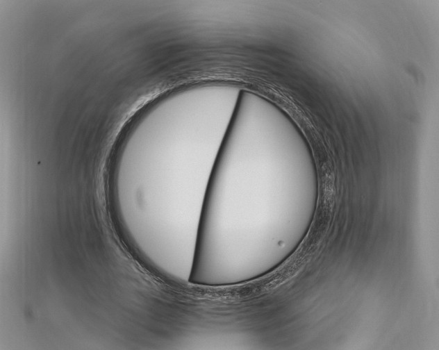 X0000112740727200908201034