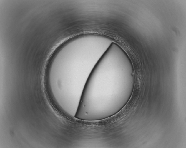 X0000112740728200908201034
