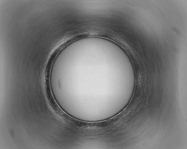 X0000112740730200908201034