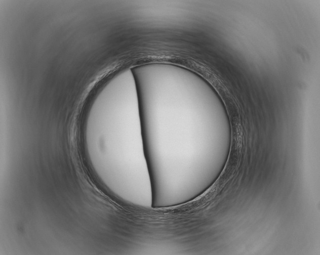 X0000112740731200908201034